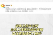 娱乐圈吃瓜年鉴,吃瓜年鉴深度解读